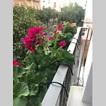 Casa De Diseno 200m Mezquita 2 & 2 Bathrooms 別荘 *