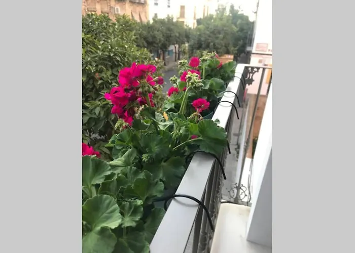 Casa De Diseno 200m Mezquita 2 & 2 Bathrooms 度假居 *