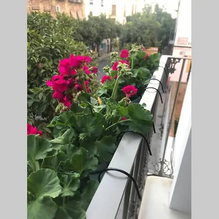 Casa De Diseno 200m Mezquita 2 & 2 Bathrooms Ferienhaus *